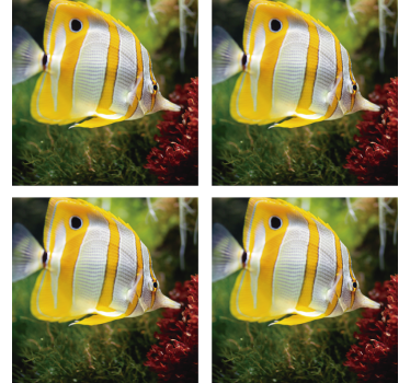Sottobicchieri moderno immagine di pesce brillante - TenStickers