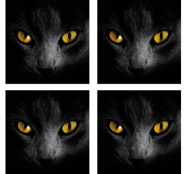 Gatto nero halloween sottobicchiere - TenStickers
