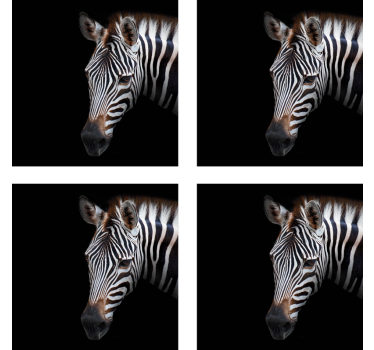 Sottobicchieri moderno illustrazione testa di zebra - TenStickers