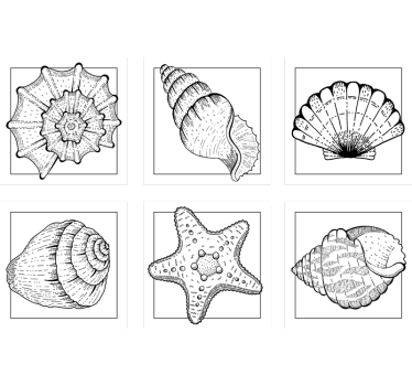 Sottobicchieri con motivi a motivi di conchiglia intricati - TenStickers