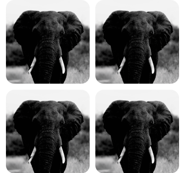 Sottobicchieri vintage ritratti di elefanti monocromatici - TenStickers