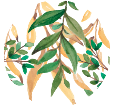 Sottobicchieri birra botanica verde fogliosa - TenStickers
