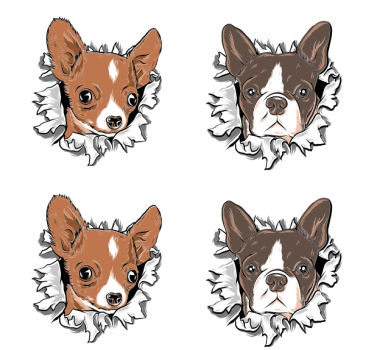 Sottobicchieri nerd faccine di chihuahua e bulldog - TenStickers