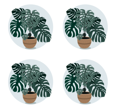 Sottobicchieri moderno illustrazione pianta monstera - TenStickers