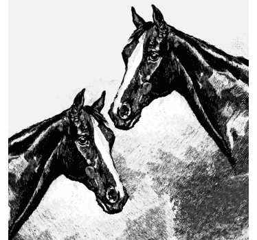 Sottobicchieri vintage teste di cavallo doppie - TenStickers