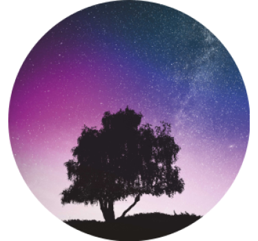 Sottobicchieri moderno albero notturno stellato - TenStickers