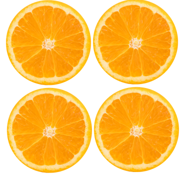Sottobicchieri moderno disposizione fette di agrumi - TenStickers