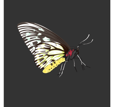 Sottobicchieri nerd arte della farfalla colorata - TenStickers