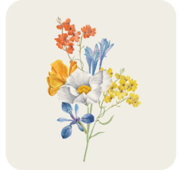 Sottobicchieri vintage composizione floreale colorata - TenStickers