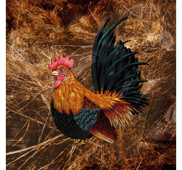 Sottobicchieri vintage con arte di gallo colorato - TenStickers