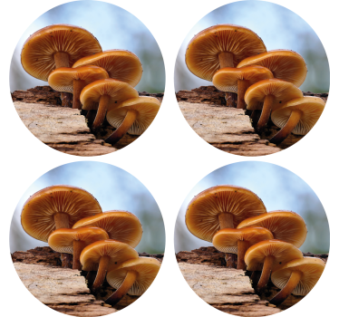Sottobicchieri moderno disposizione a grappolo di funghi - TenStickers