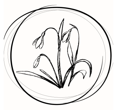 Sottobicchieri con motivi schizzo floreale elegante - TenStickers