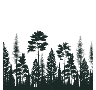 Sottobicchieri con motivi silhouette di pini alti - TenStickers