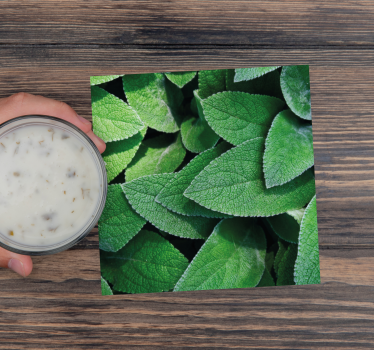 Sottobicchieri con motivi foglia verde vivace - TenStickers