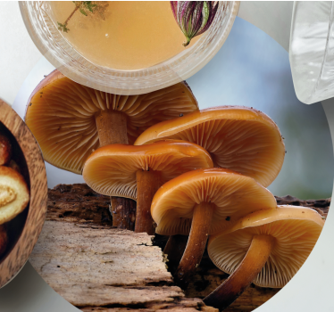 Sottobicchieri moderno disposizione a grappolo di funghi - TenStickers