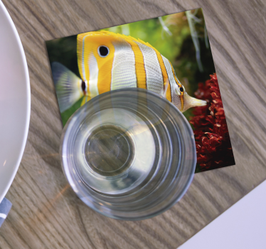 Sottobicchieri moderno immagine di pesce brillante - TenStickers