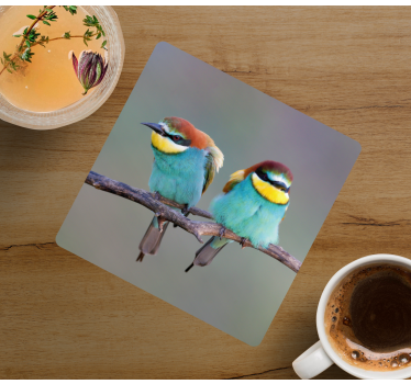 Sottobicchieri moderno uccelli colorati in posatoio - TenStickers