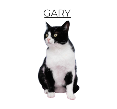 Poster di altri animali minimalista personalizzato - TenStickers
