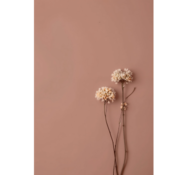 Poster minimalista fiori secchi - TenStickers