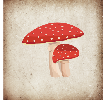 Poster da cucina illustrazione fungo amanita - TenStickers
