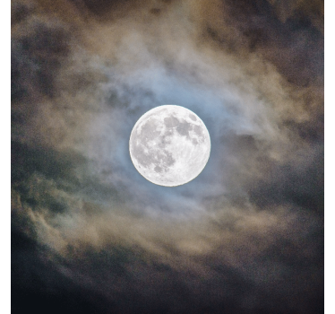 Poster da soggiorno notte di luna piena - TenStickers
