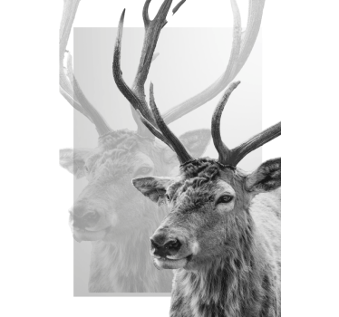 Poster stile nordico con renna - TenStickers