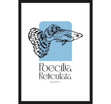 Poster con pesci pesce guppy - TenStickers
