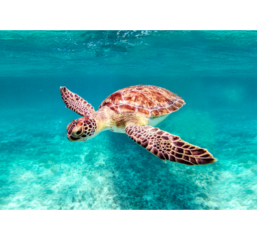 Poster di altri animali tartaruga marina - TenStickers