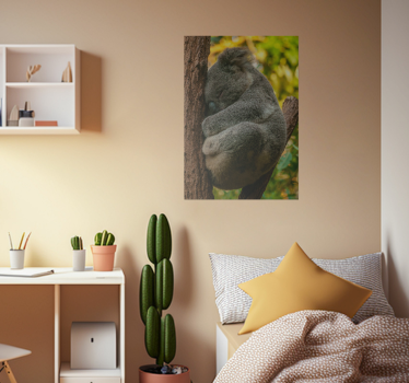 Poster cameretta ragazzi koala che dorme - TenStickers
