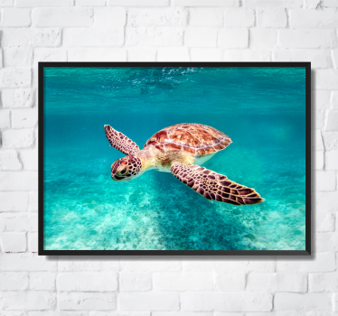 Poster di altri animali tartaruga marina - TenStickers