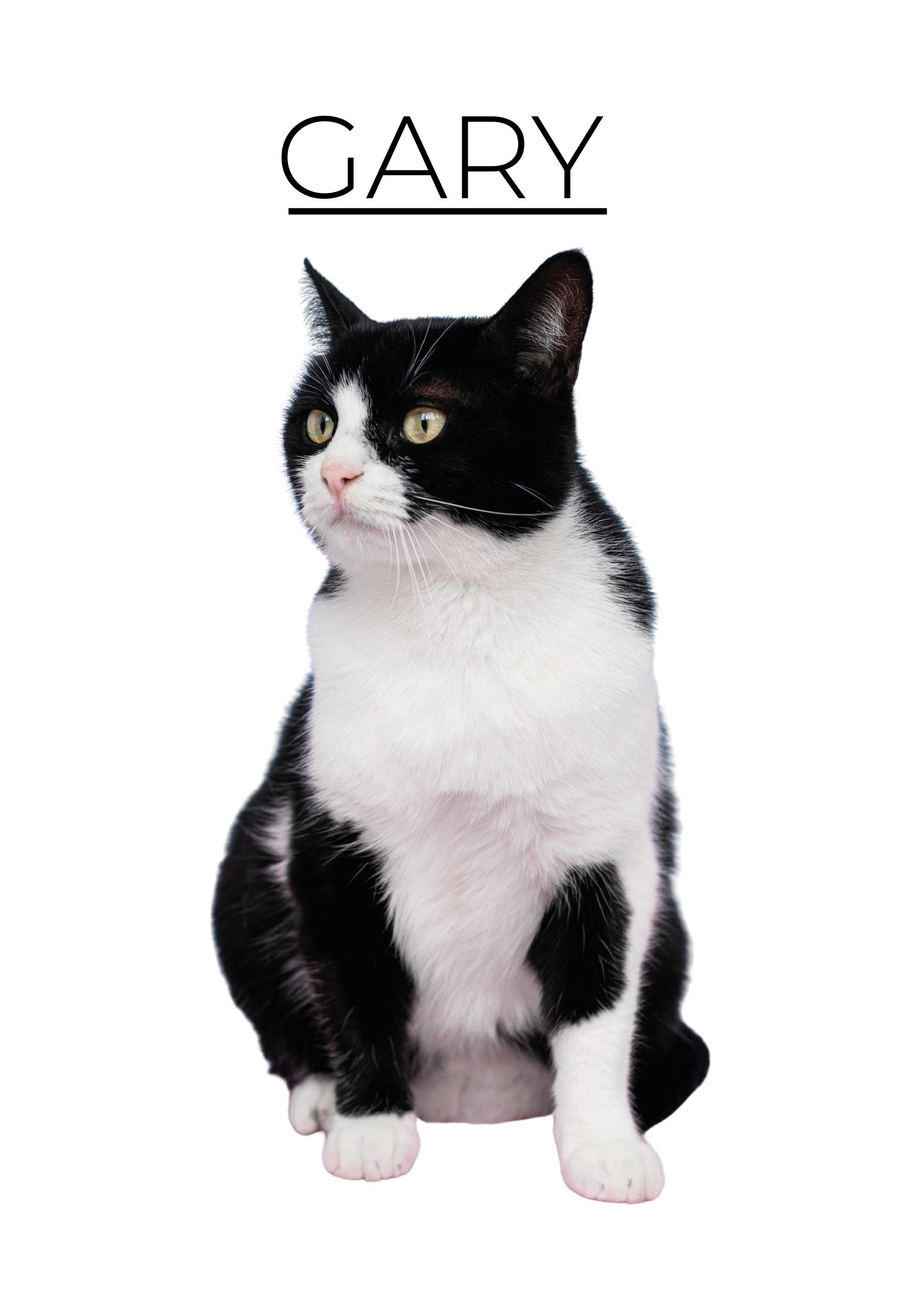 Poster di altri animali minimalista personalizzato - TenStickers