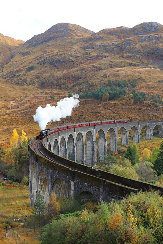 Poster fotografico realistico treno in movimento - TenStickers