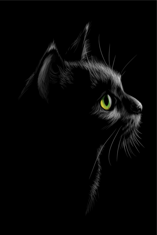 Poster da soggiorno gatti occhi verdi - TenStickers