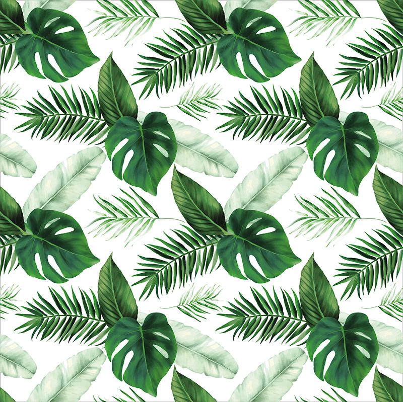 Poster piante disegno foglie tropicali - TenStickers