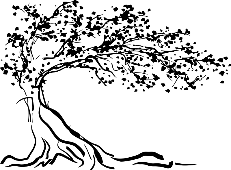 Poster di alberi vinile decorativo con vento - TenStickers