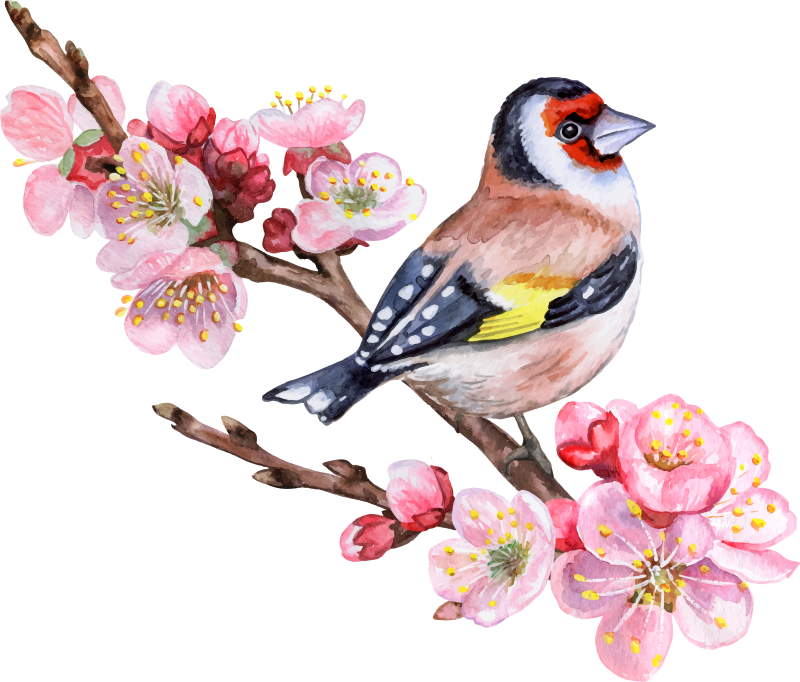 Poster di alberi rami primaverili con uccelli - TenStickers