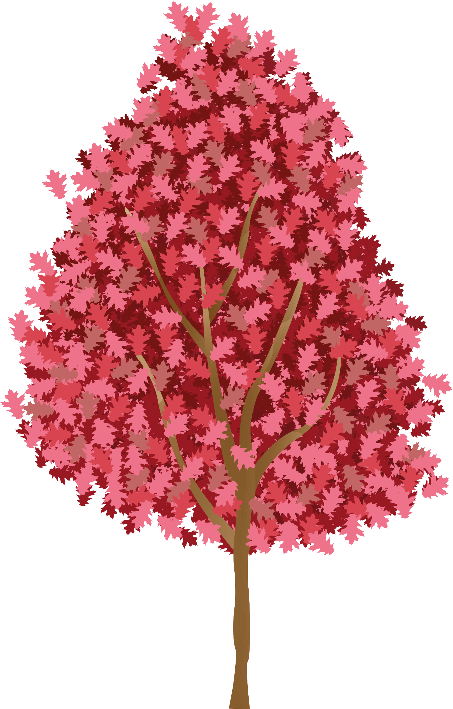 Poster di alberi con fiori rosa - TenStickers