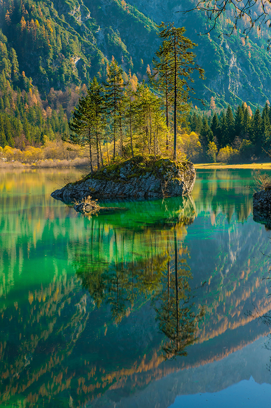 Poster di alberi riflessi - TenStickers