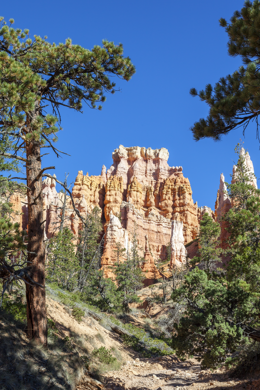 Poster di paesaggi canyon di bryce - TenStickers