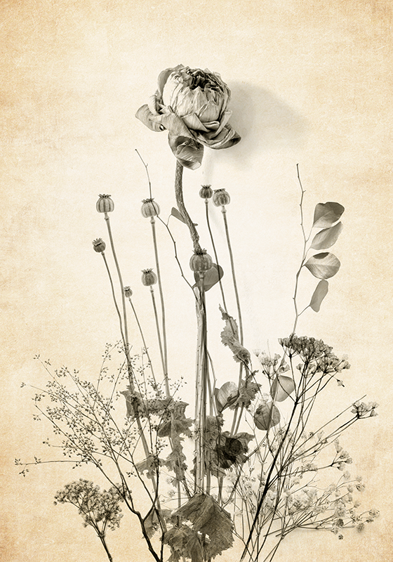 Poster piante bouquet di fiori su sfondo beige - TenStickers
