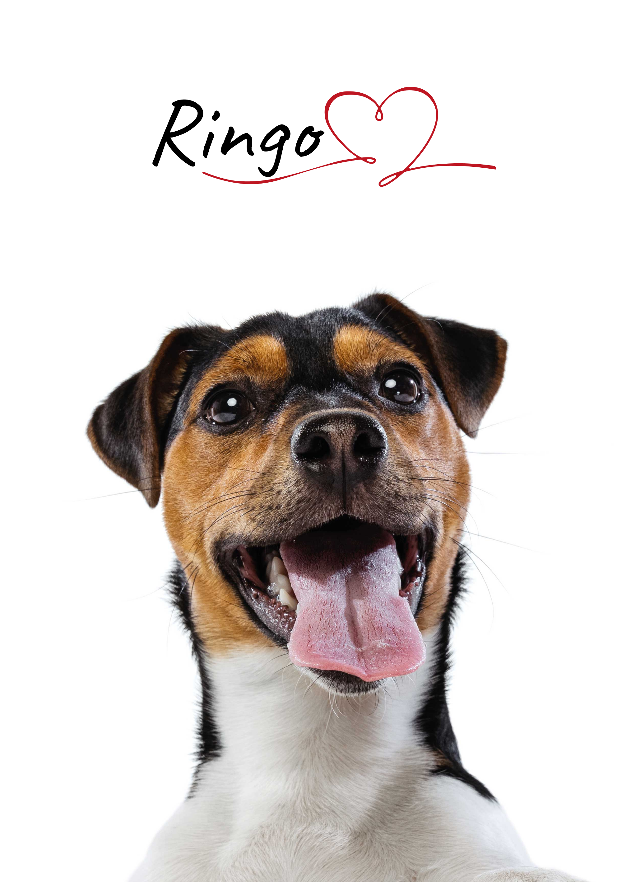 Poster Cane amore per cani personalizzato - TenStickers