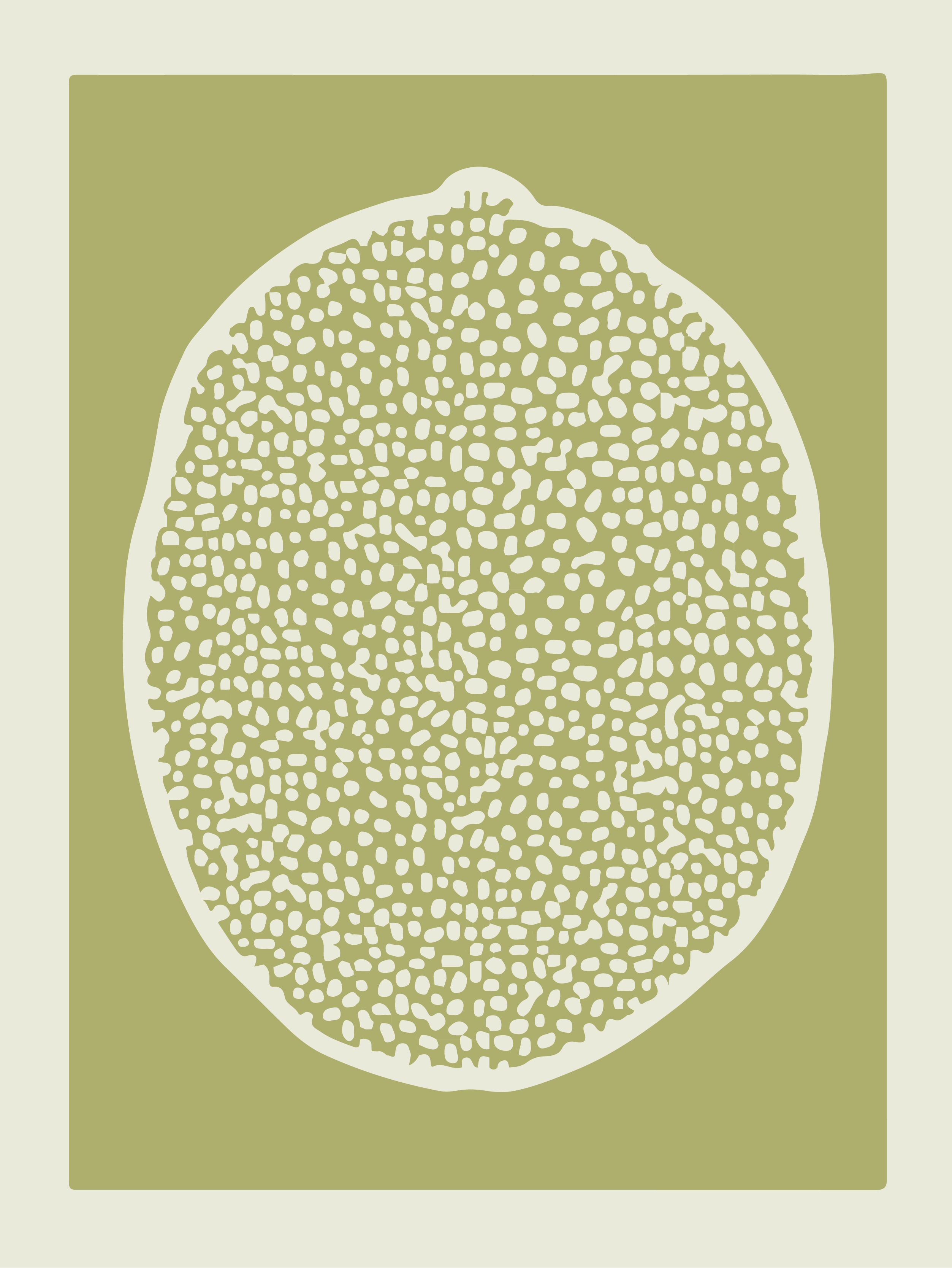 Poster nordico fette di lime - TenStickers