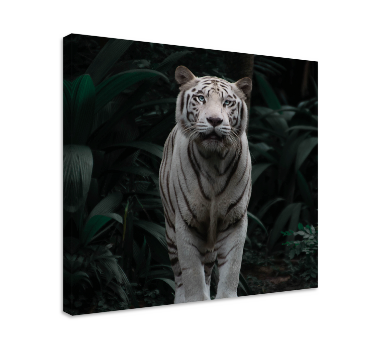 Cornice quadro con animali e insetti tigre bianca maestosa - TenStickers