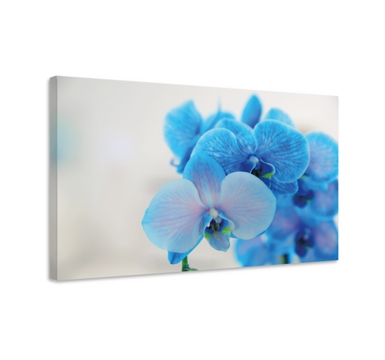 Dipinto con fiori e piante fiori di orchidea blu - TenStickers