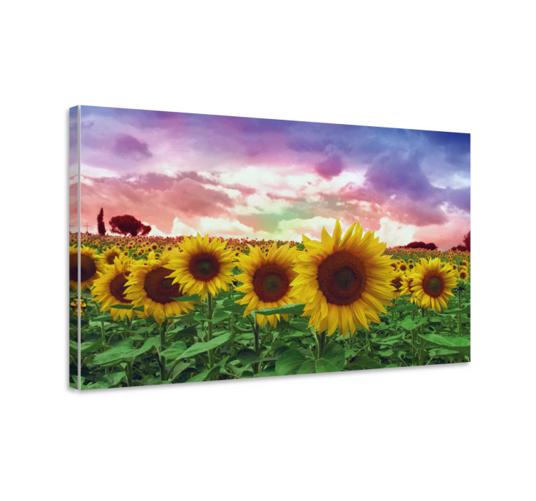 Dipinto con fiori e piante campo di girasoli vibrante - TenStickers