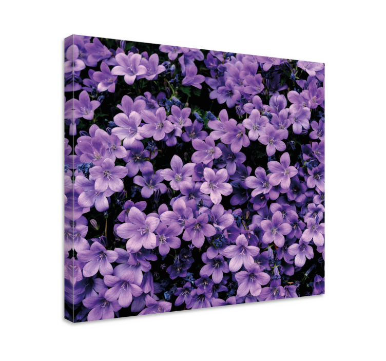 Quadro con fiori Vaghi fiori viola - TenStickers