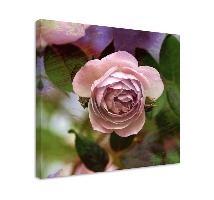 Dipinto con fiori e piante rosa rosae - TenStickers