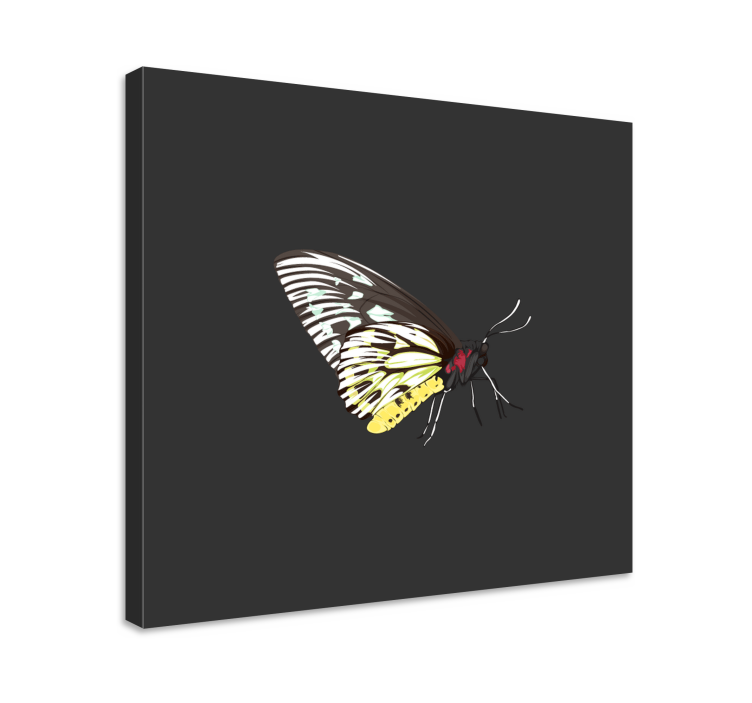 Dipinto con farfalle profilo di farfalla elegante - TenStickers