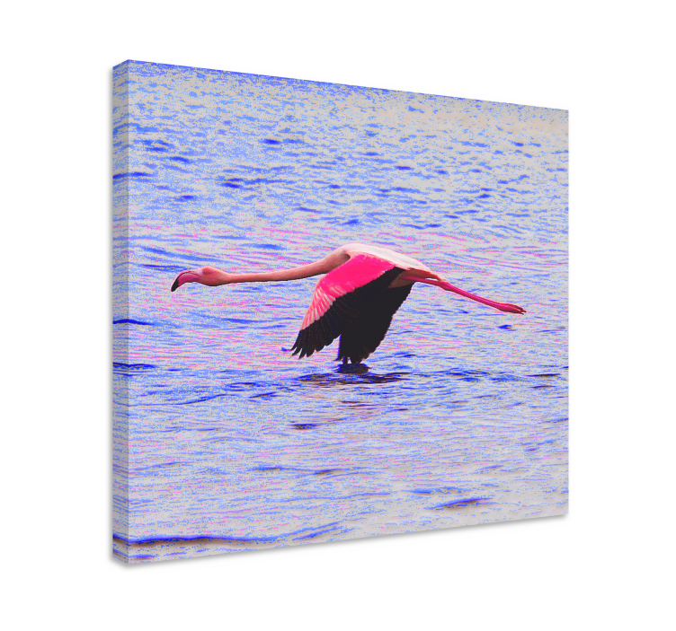 Dipinto di pesci fenicottero in volo - TenStickers