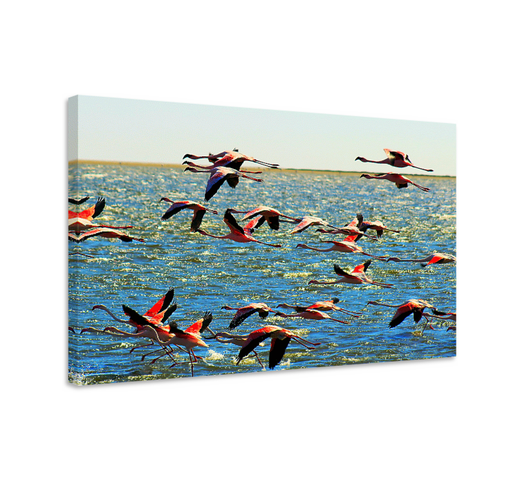 Dipinto con uccelli fenicotteri in volo - TenStickers